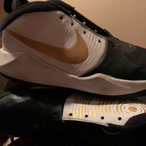 Nike Team Hustle D9 Black/Metallic Gold-White